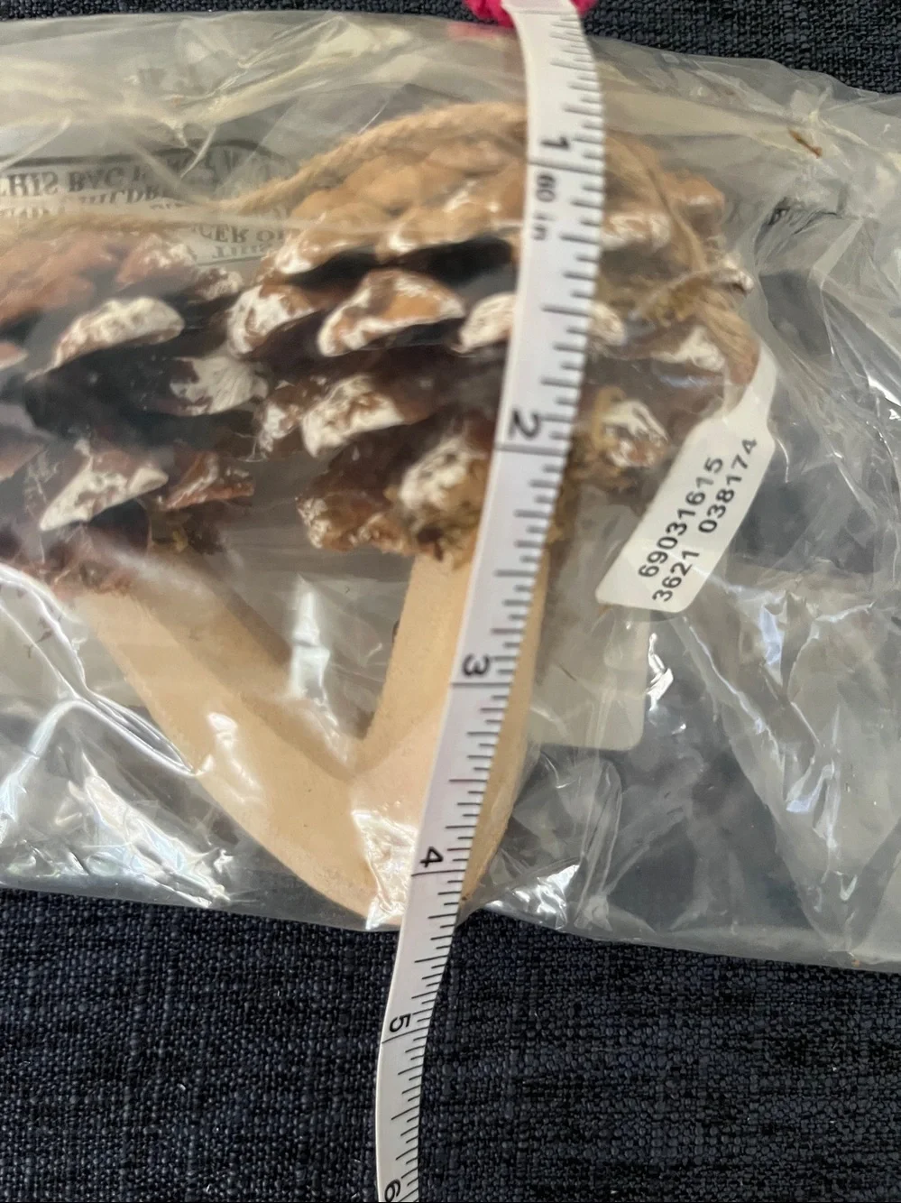 Pinecone mushroom ornaments from Anthropologie set of 2